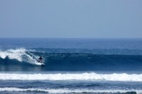 Tingginya ombak di Pantai Tanjung Setia memberikan pesona dan daya tarik untuk pecinta surfing (tourismindonesiaonline.com) Tingginya ombak di Pantai Tanjung Setia memberikan pesona dan daya tarik untuk pecinta surfing (tourismindonesiaonline.com)