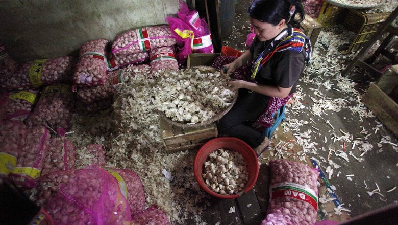 Mentan Gandeng Polri Cek Harga Bawang Putih Naik Jelang Ramadan Mentan Gandeng Polri Cek Harga Bawang Putih Naik Jelang Ramadan