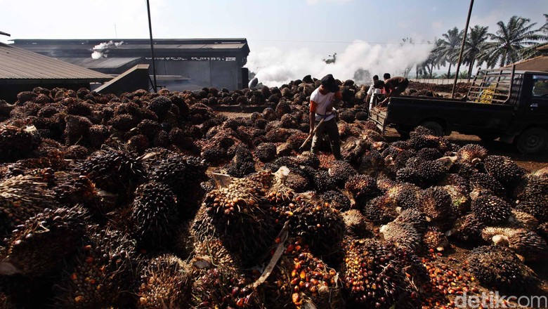 Punya Minyak Sawit Melimpah, RI Tawarkan Barter ke Nigeria Punya Minyak Sawit Melimpah, RI Tawarkan Barter ke Nigeria