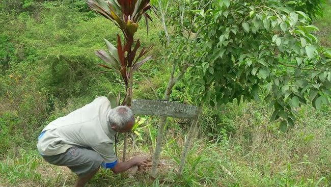 Begini Kerja Keras Mbah Sadiman Agar Kekeringan Sirna dan 