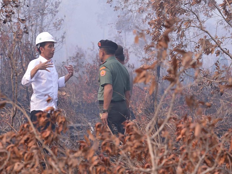 Jokowi dan Kemenangan Rp 18 Triliun Melawan Pembakar Hutan Jokowi dan Kemenangan Rp 18 Triliun Melawan Pembakar Hutan