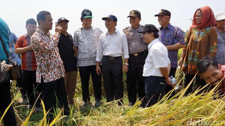 Banyak Bendungan Baru, Mentan Pede RI Aman dari Kekeringan Banyak Bendungan Baru, Mentan Pede RI Aman dari Kekeringan