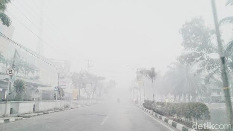 Pimpinan DPR: Jangan Malu Tetapkan Kebakaran Hutan Jadi 