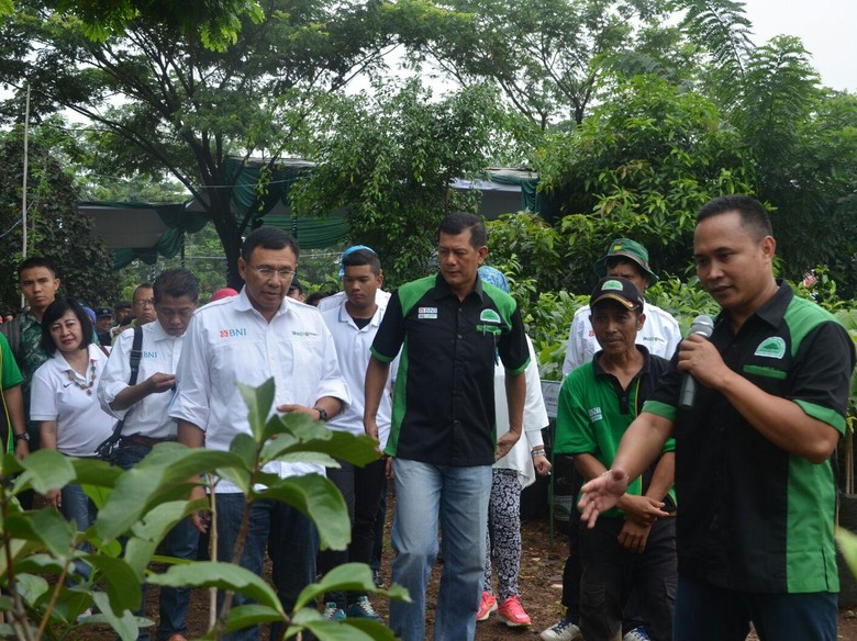 Bibit Pohon Gratis di Sentul Masih Banyak, Ayo Ambil Sebelum Kehabisan Bibit Pohon Gratis di Sentul Masih Banyak, Ayo Ambil Sebelum Kehabisan