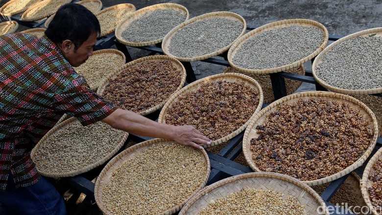 JK: Vietnam Salip RI di Urutan Produsen Kopi Dunia JK: Vietnam Salip RI di Urutan Produsen Kopi Dunia