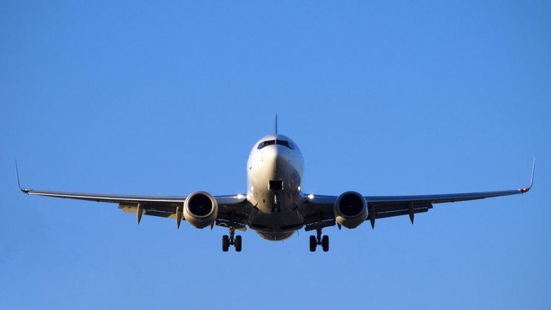 Pesawat American Airlines Dikawal Jet Tempur, Pria Turki Ditahan Pesawat American Airlines Dikawal Jet Tempur, Pria Turki Ditahan