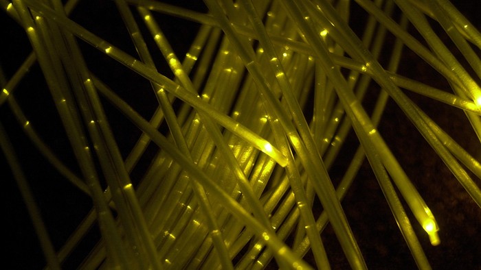 Foto: ilustrasi kabel optik (Getty Images)