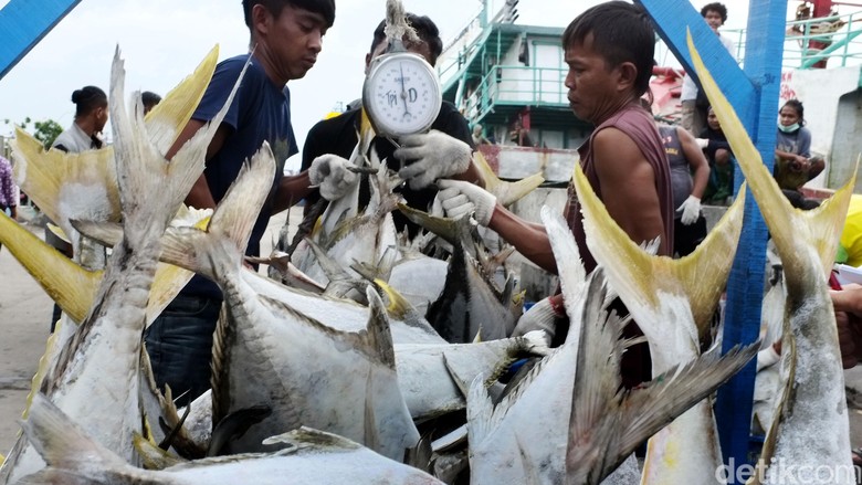 Pemprov DKI Segera Realisasikan Restoran Apung di Muara Angke