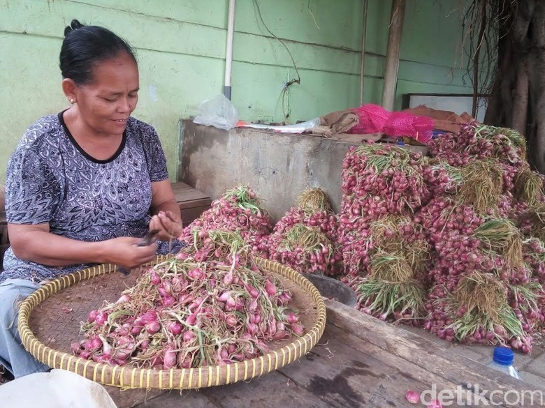 Harga Bawang Merah Anjlok, Mentan Minta Bulog Beli dari Petani Harga Bawang Merah Anjlok, Mentan Minta Bulog Beli dari Petani