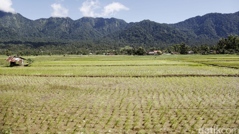 Percepat Distribusi Lahan, Jokowi Gandeng Ormas Keagamaan Percepat Distribusi Lahan, Jokowi Gandeng Ormas Keagamaan