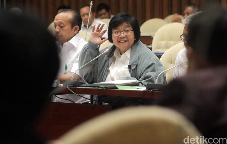 Menteri Siti: Kawasan Hutan Kita Setop untuk Ekspansi Sawit Menteri Siti: Kawasan Hutan Kita Setop untuk Ekspansi Sawit