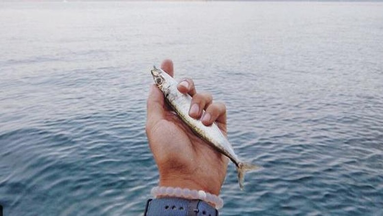 Tips Foto Traveling Ala Selebgram: Utamakan Perspektif Tips Foto Traveling Ala Selebgram: Utamakan Perspektif