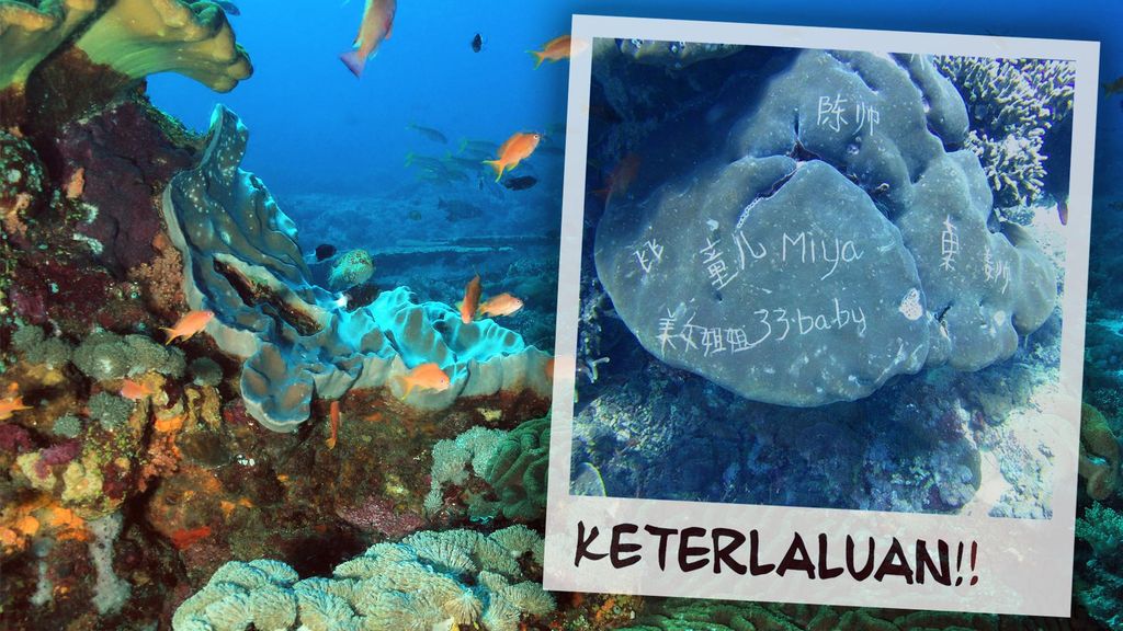Karang Dirusak di Bali Karang Dirusak di Bali