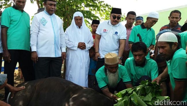 Demokrat Potong 59 Sapi Kurban di Raja Ampat, Warga Berdoa 