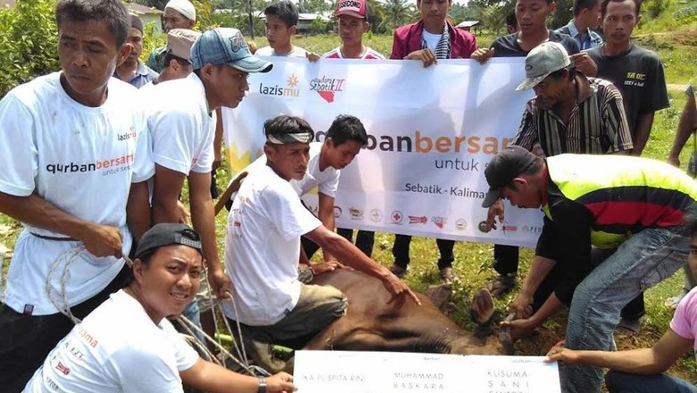 Lazismu Catat Total Nilai Ekonomi Qurban 2016 Mencapai 240 M Lazismu Catat Total Nilai Ekonomi Qurban 2016 Mencapai 240 M