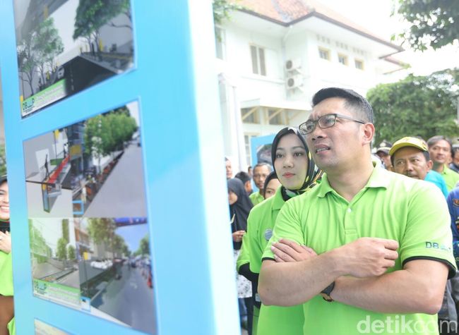 Soal Larangan Styrofoam, Ridwan Kamil: Ganti Pakai Daung 