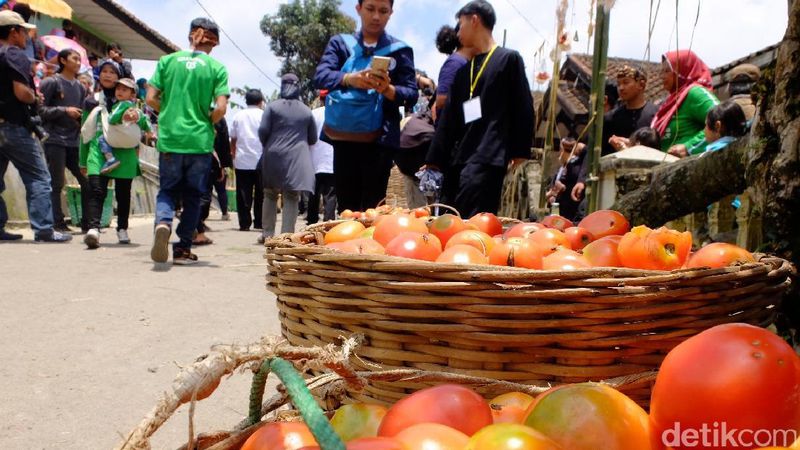 acara lembur berita Perang Bandung Ketika Spanyol 'Pindah' Tomat ke