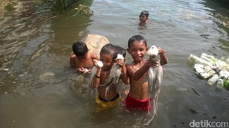 Foto: Anak-anak Wakatobi menangkap gurita dengan tangan kosong (Bonauli/detikTravel) Foto: Anak-anak Wakatobi menangkap gurita dengan tangan kosong (Bonauli/detikTravel)