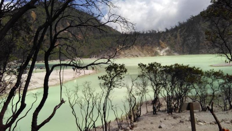 Kawah Putih (Heri Suryawan/dTraveler) Kawah Putih (Heri Suryawan/dTraveler)