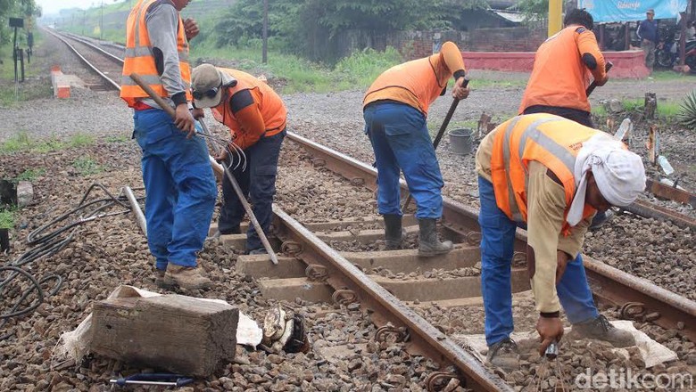 Rencana Jokowi Hubungkan Seluruh Kalimantan dengan Rel Kereta Rencana Jokowi Hubungkan Seluruh Kalimantan dengan Rel Kereta