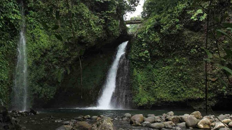 Foto: Inilah Air Terjun Kemumu yang cantik di Bengkulu Utara (Harry Septian/dTraveler) Foto: Inilah Air Terjun Kemumu yang cantik di Bengkulu Utara (Harry Septian/dTraveler)