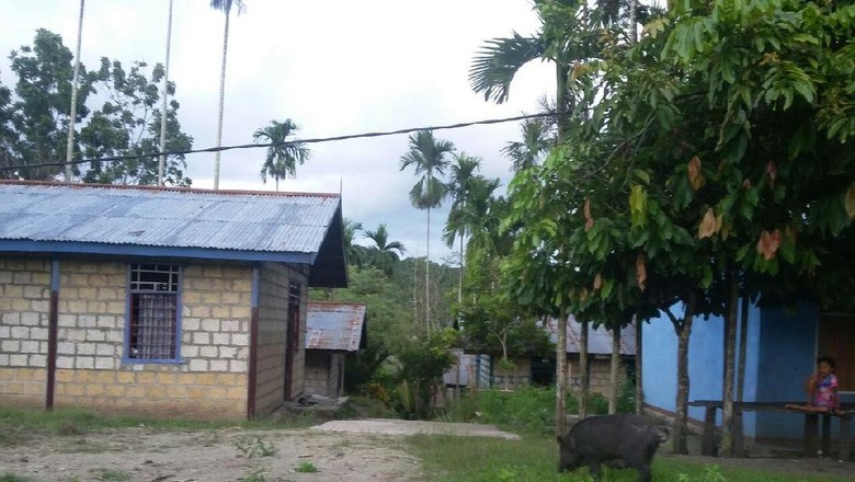Satu Lagi Desa di Papua yang Dapat Listrik dari PLN Satu Lagi Desa di Papua yang Dapat Listrik dari PLN