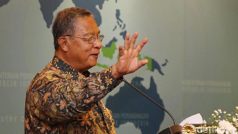 Soal Pemindahan Ibu Kota, Ini Tanggapan Darmin Soal Pemindahan Ibu Kota, Ini Tanggapan Darmin