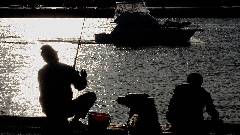 Pemancing ini Selamat Setelah Diseret Ikan Marlin Selama 6 Jam Pemancing ini Selamat Setelah Diseret Ikan Marlin Selama 6 Jam