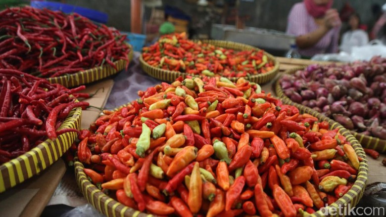 Serba Salah, Harga Rawit Merah Terus Turun Petani Berpotensi Merugi Serba Salah, Harga Rawit Merah Terus Turun Petani Berpotensi Merugi
