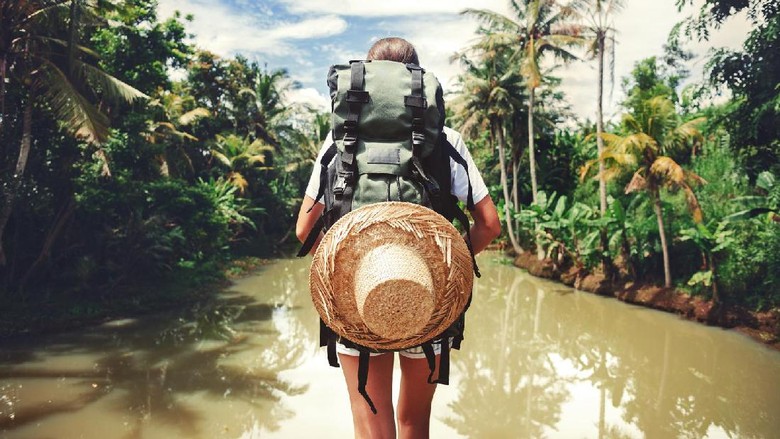 Foto: Ilustrasi (Thinkstock) Foto: Ilustrasi (Thinkstock)