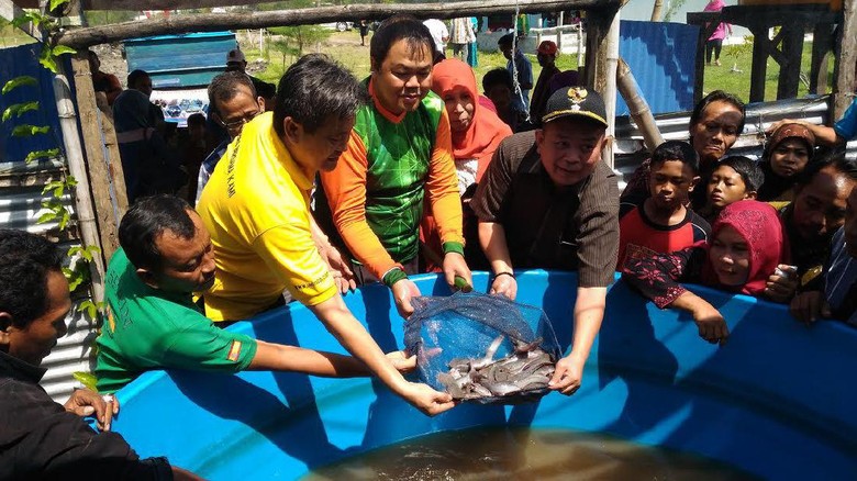 Susi Ingin Orang RI Makan 50 Kg Ikan Tiap Tahun Susi Ingin Orang RI Makan 50 Kg Ikan Tiap Tahun