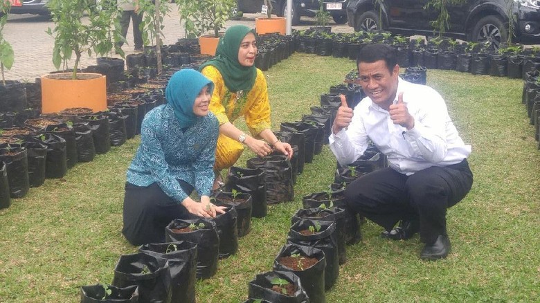 Gandeng Ibu PKK, Mentan Canangkan Gerakan Tanam Cabai di Jateng Gandeng Ibu PKK, Mentan Canangkan Gerakan Tanam Cabai di Jateng