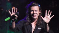 Meme Lucu Beredar Usai Tiket Konser Harry Styles Ludes Terjual