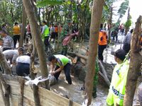 Tanggul Jebol yang Bikin 5 Desa di Brebes Terendam Ditambal Sementara