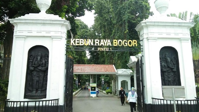 Foto: Ilustrasi Kebun Raya Bogor (Melissa Bonauli/detikTravel) Foto: Ilustrasi Kebun Raya Bogor (Melissa Bonauli/detikTravel)