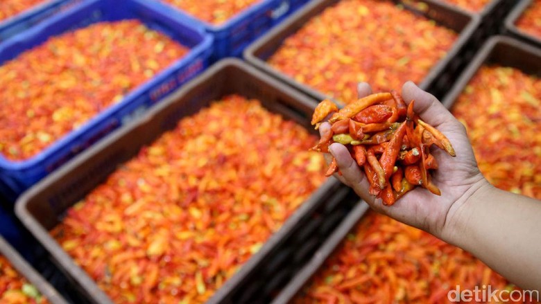 Mainkan Harga Cabai Rawit Merah, Pengepul Bisa Beli Mobil Baru Mainkan Harga Cabai Rawit Merah, Pengepul Bisa Beli Mobil Baru