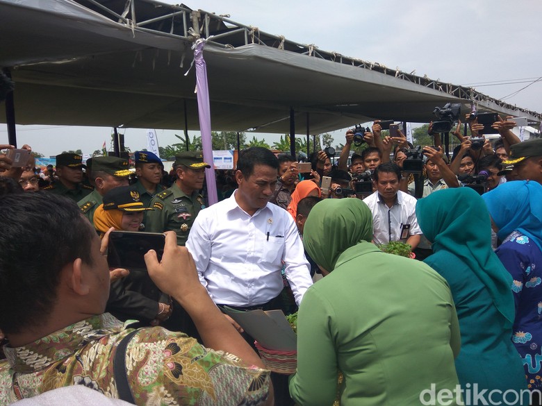 Mentan Panen Padi dan Percepat Serap Gabah Petani di Jatim Mentan Panen Padi dan Percepat Serap Gabah Petani di Jatim