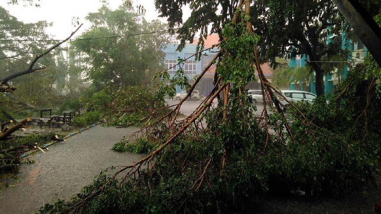Hujan Angin Kembali Mengamuk di Surabaya, Pohon Bertumbangan Hujan Angin Kembali Mengamuk di Surabaya, Pohon Bertumbangan