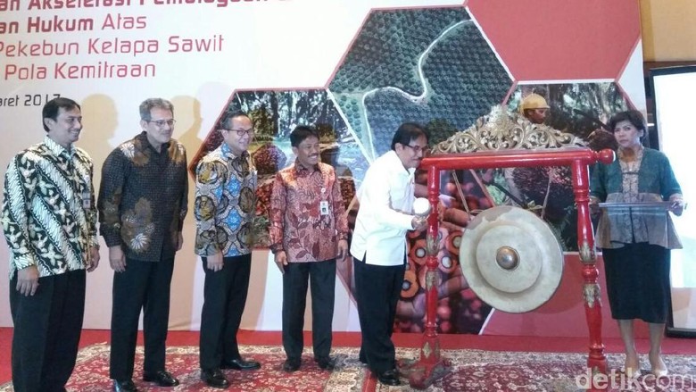 Pengembangan Kebun Sawit RI Hadapi Masalah Lahan Hingga Pembiayaan Pengembangan Kebun Sawit RI Hadapi Masalah Lahan Hingga Pembiayaan