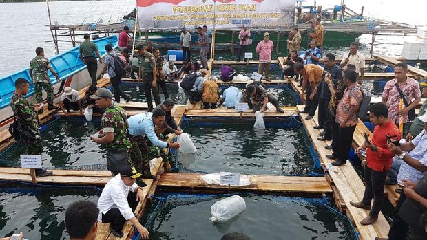 'Menambang' Emas Hijau dan Emas Biru di Maluku