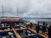'Menambang' Emas Hijau dan Emas Biru di Maluku