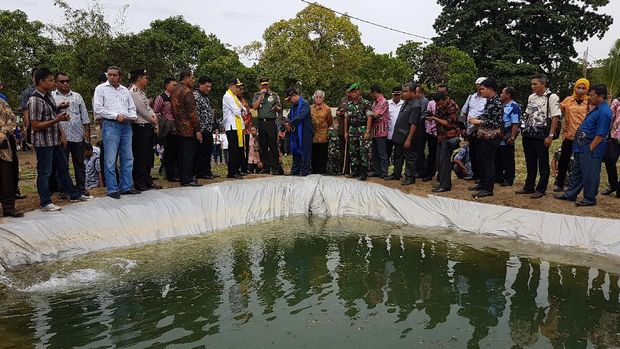 'Menambang' Emas Hijau dan Emas Biru di Maluku