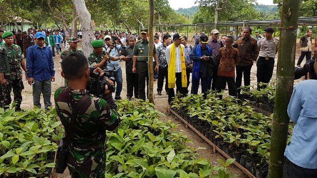 'Menambang' Emas Hijau dan Emas Biru di Maluku