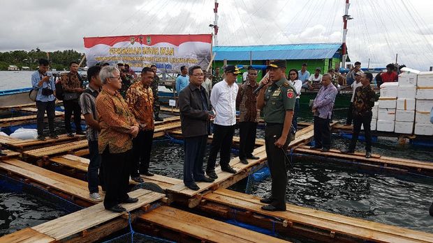 'Menambang' Emas Hijau dan Emas Biru di Maluku