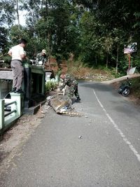 Pengunggah 'Macan Lucu' Cisewu Minta Maaf kepada TNI AD