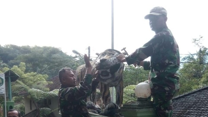 Dokumentasi: Pembongkaran Patung macan Koramil 1123 Cisewu Dokumentasi: Pembongkaran Patung macan Koramil 1123 Cisewu