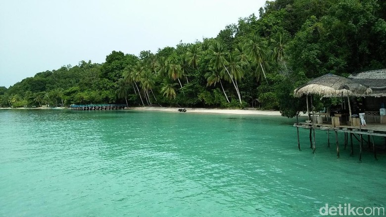 Pantai Sapokren di Raja Ampat (Bonauli/detikTravel) Pantai Sapokren di Raja Ampat (Bonauli/detikTravel)