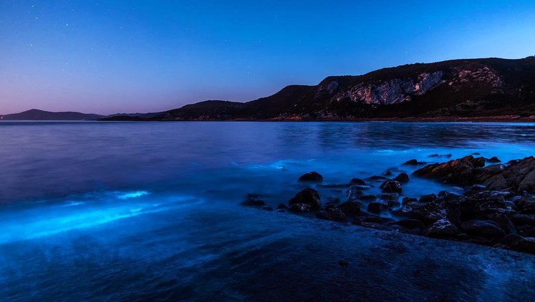 Saat lautan Tasmania berubah warna biru bercahaya (Leanne Marshall/Instagram) Saat lautan Tasmania berubah warna biru bercahaya (Leanne Marshall/Instagram)