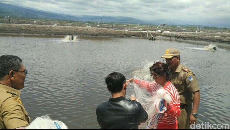 Susi Kirim 1.000 Alat Tangkap Ikan Bubu ke Kolaka Susi Kirim 1.000 Alat Tangkap Ikan Bubu ke Kolaka