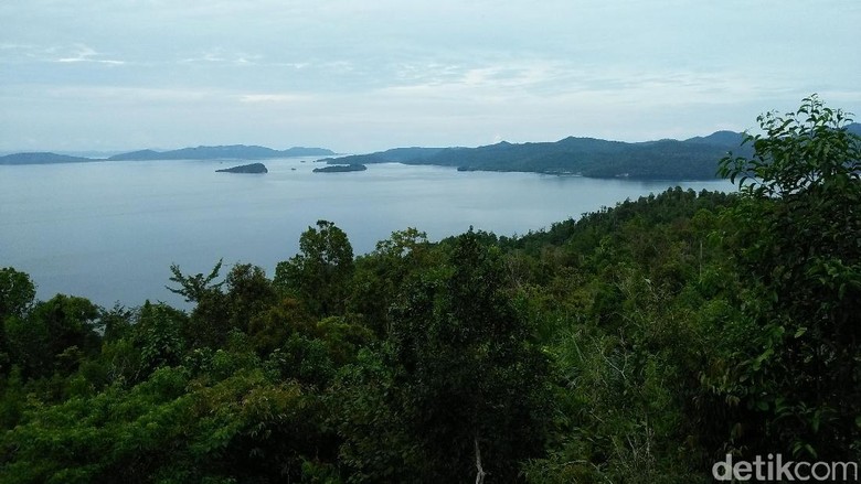 Foto: Bonauli/detikTravel) Foto: Bonauli/detikTravel)